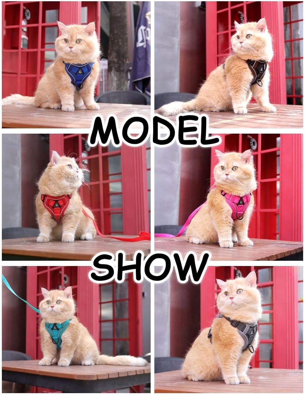 Skmeditec Cat Harness and Leash Set