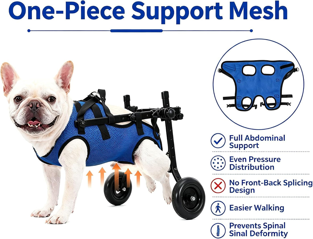 Dog Wheelchair for Back Legs, Adjustable Support for Small Dogs, M