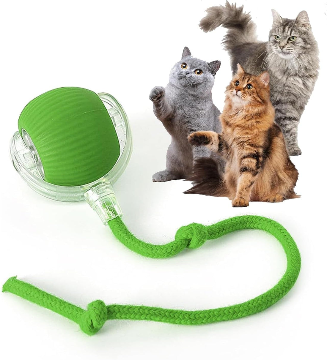 Rocfish Interactive Cat Toys for Indoor Cats, Automatic Cat Ball Toy