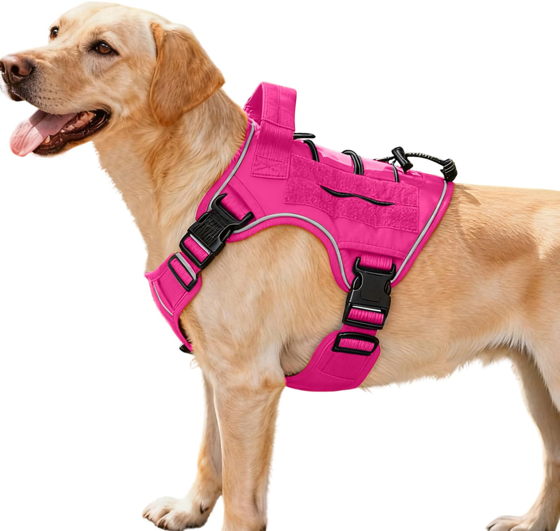 Heavy-Duty Tactical Dog Harness for Large Dogs