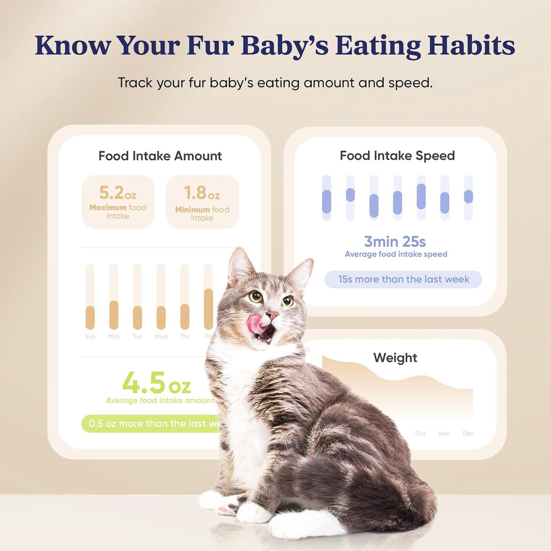 Pawsync Automatic Cat Feeder