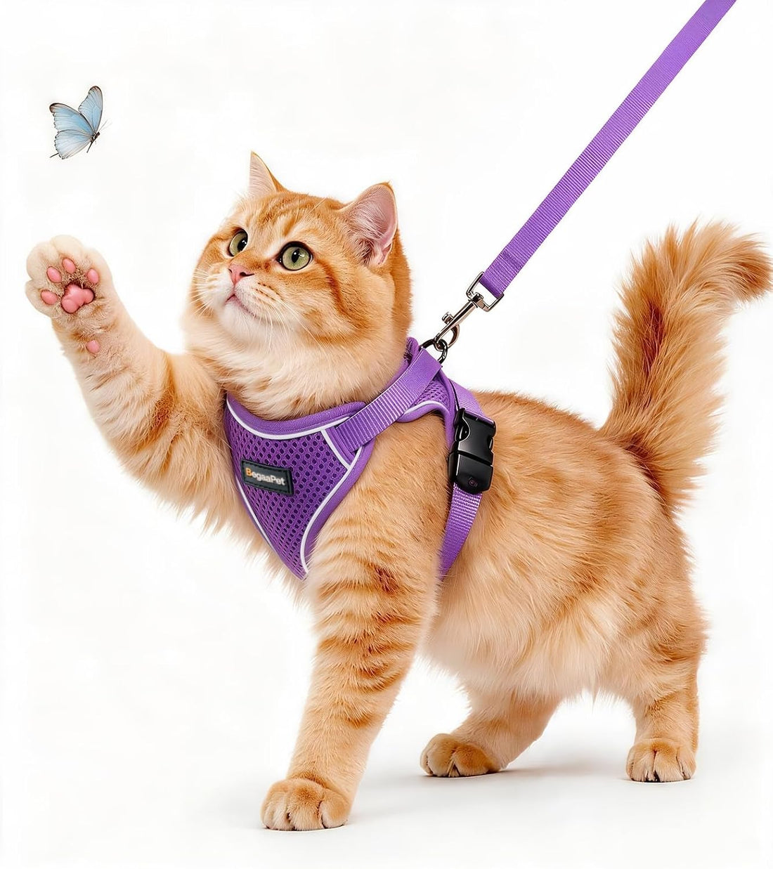 Cat Harness and Leash for Walking