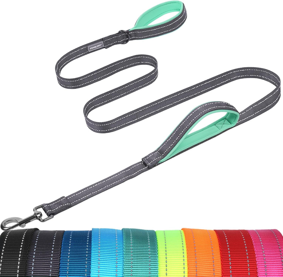 VIVAGLORY Double Handle Dog Leash Twingrip, 4ft x 1in