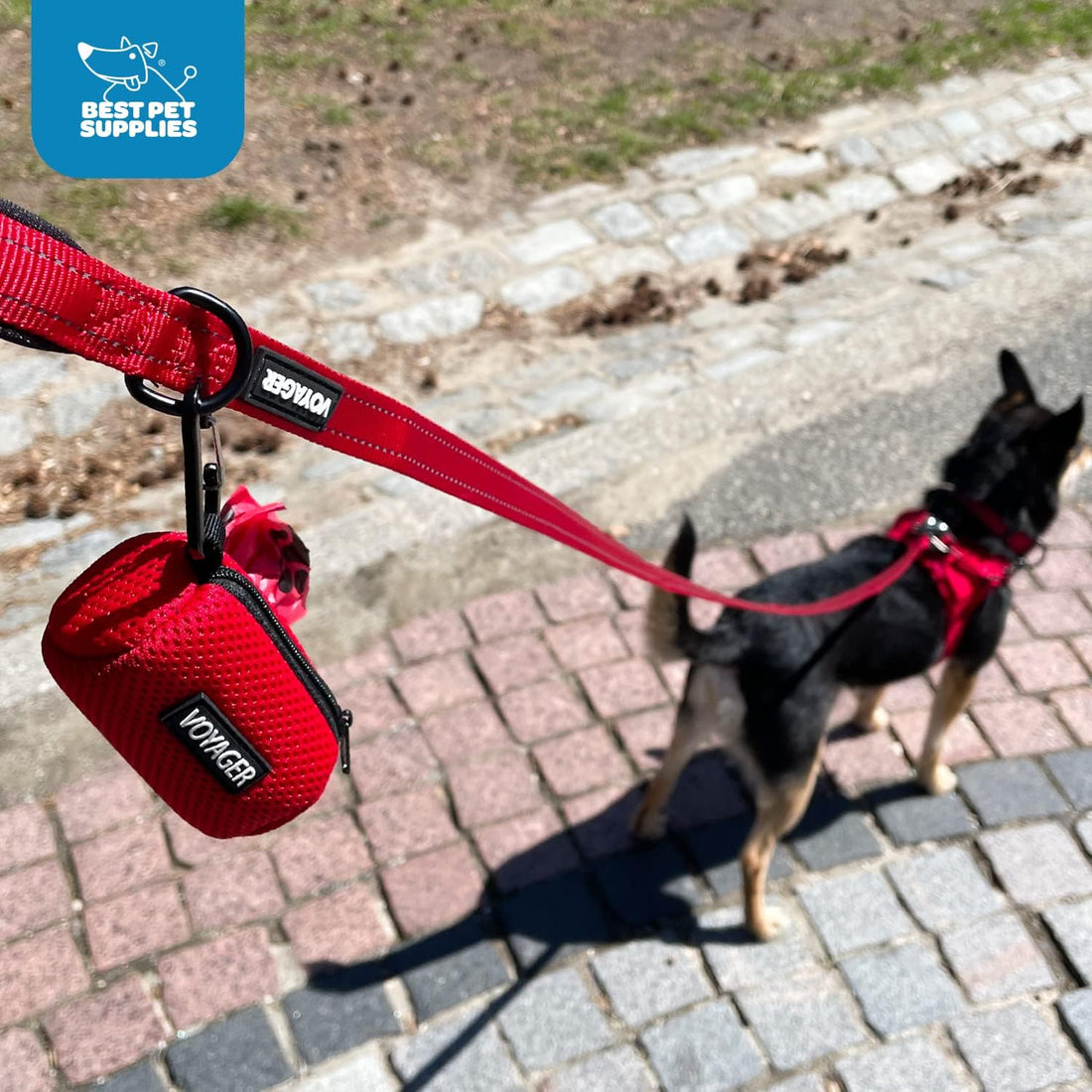 Best Pet Supplies Dog Poop Bag Holder Leash Attachment with Reusable