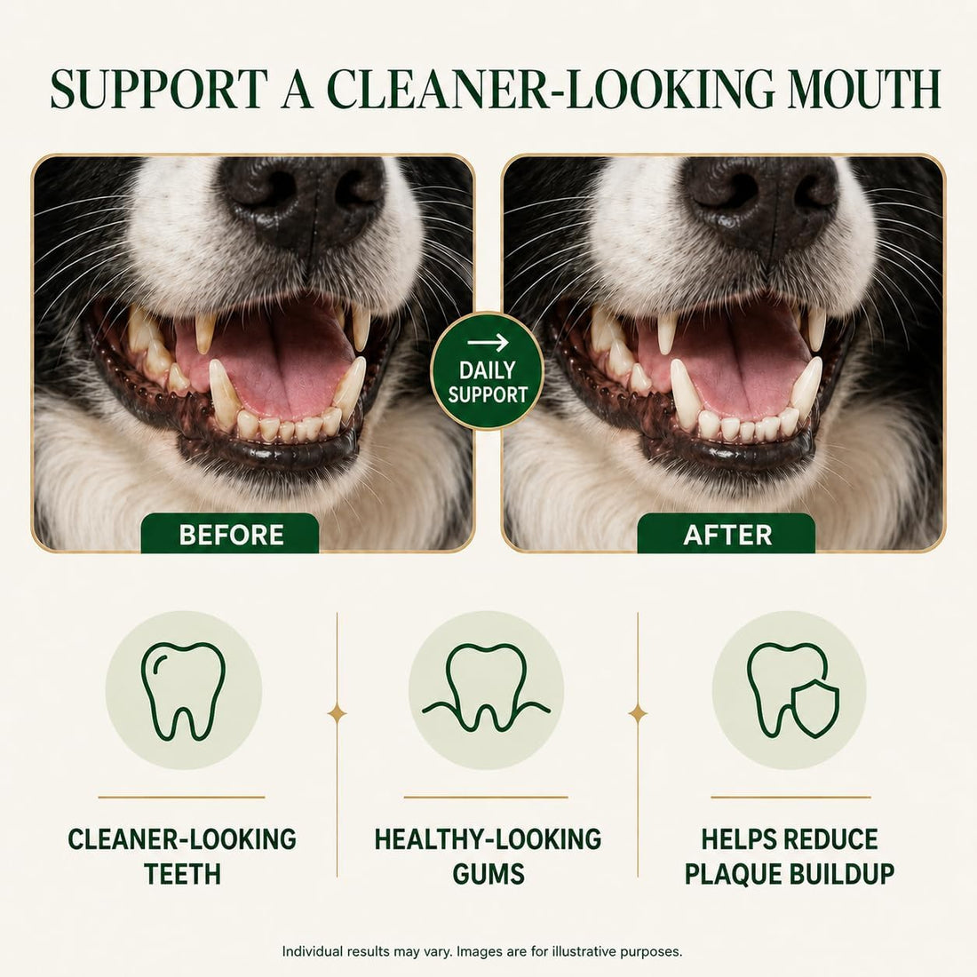Holipaw Dental Chews for Dogs, Daily Oral Care Chews, 60 Count