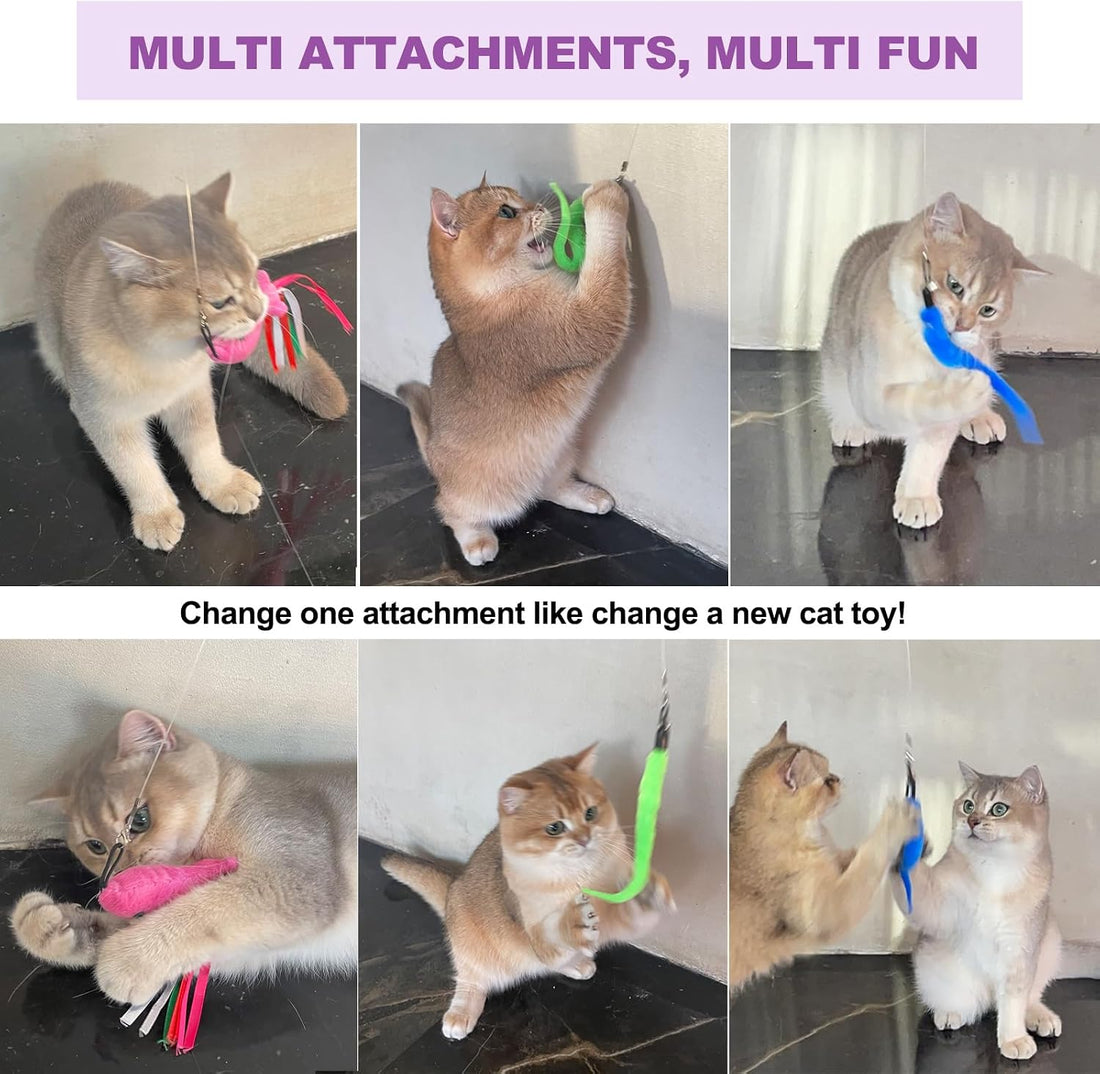 ZeyZoo Cat Toys for Indoor Cats, 11PCS Interactive Cat Toy Wand Pack