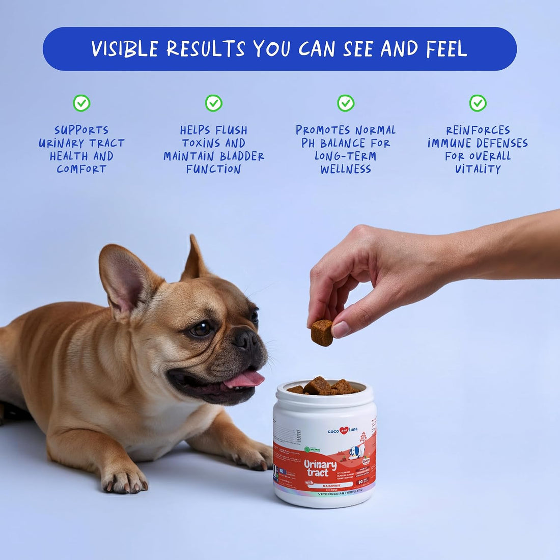Cranberry Chews for Dogs UTI Treatment & Bladder Support