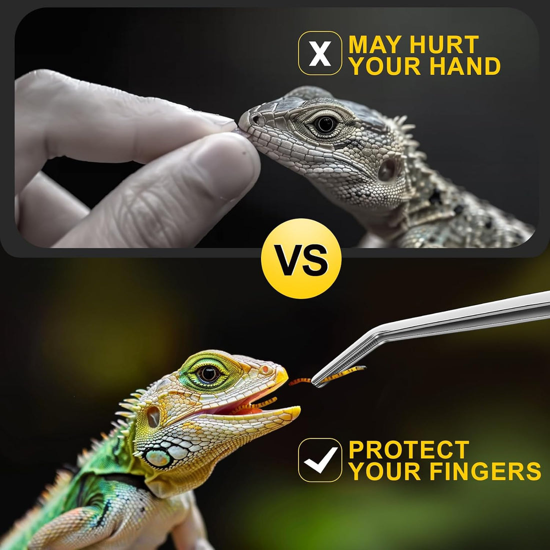 2pcs Reptile Feeding Tongs, Feeding Spoon