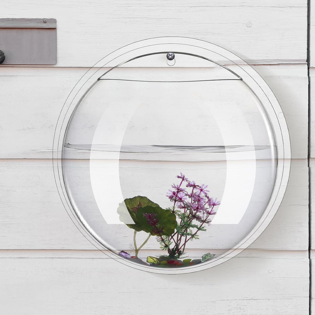 2 Pcs Wall Fish Tank Acrylic Hanging Wall Mounted Fish Bowls 1 Gallon