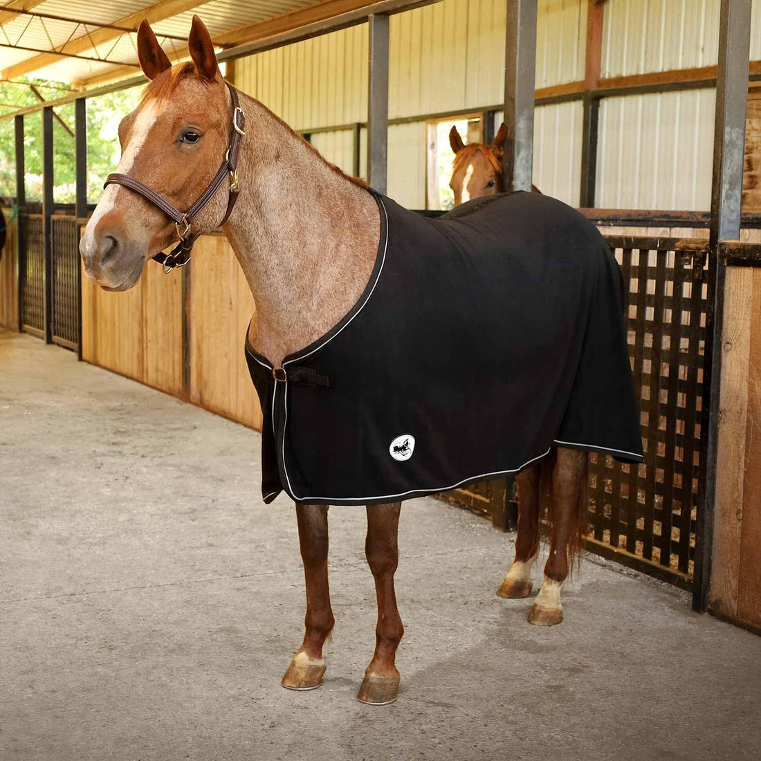Jeffers Standard Neck Fleece Cooler for Horses, 81" - Black