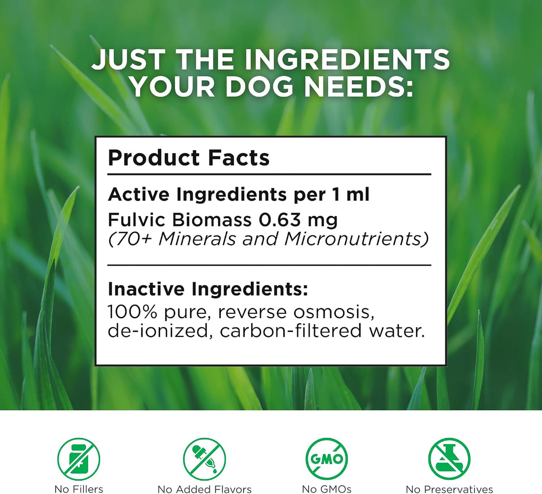 BEAM Minerals Advanced Canine Mineral and Electrolyte Replenishment