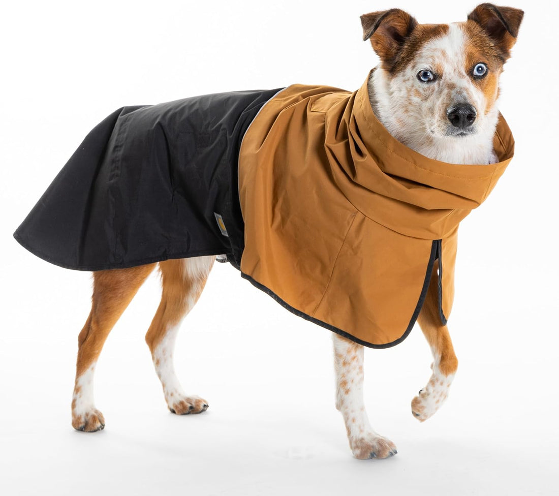 Carhartt Nylon Rain Dog Jacket Carhartt Brown/Black M
