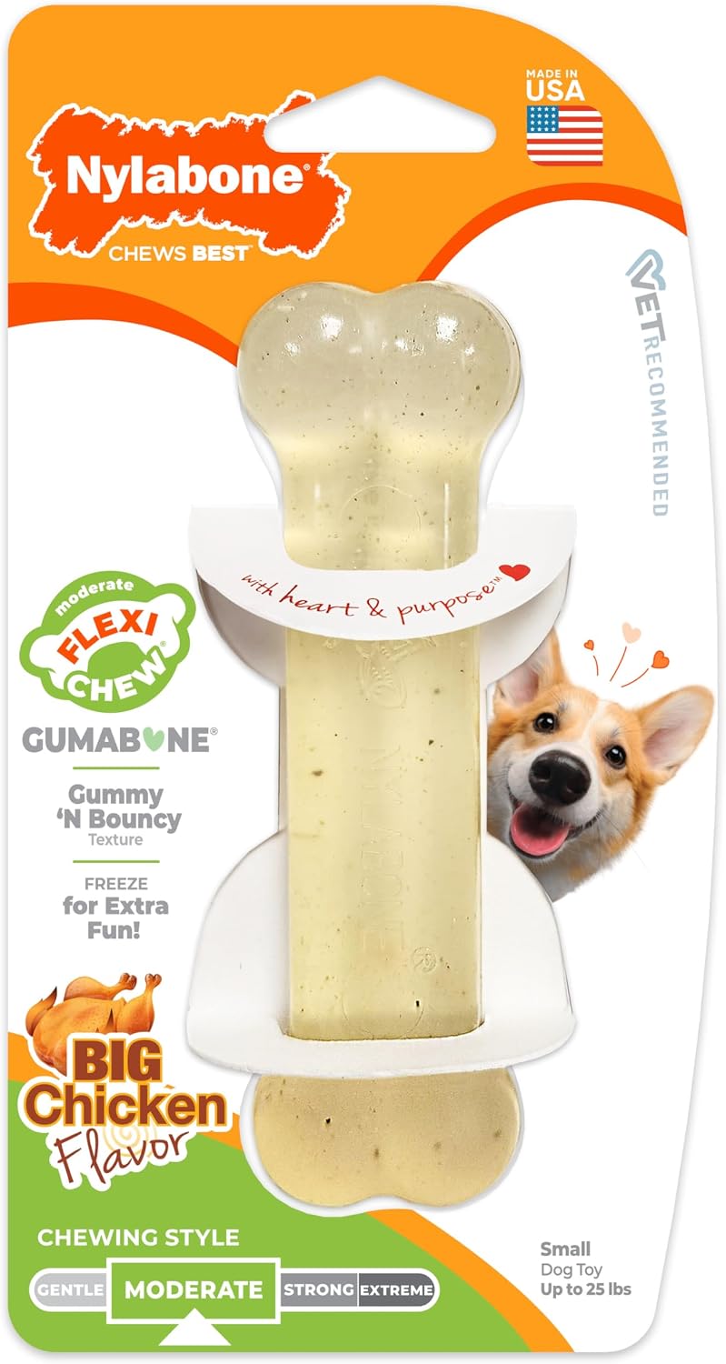 Nylabone Flexi Chew Gumabone Dog Chew Toy, Chicken Flavor
