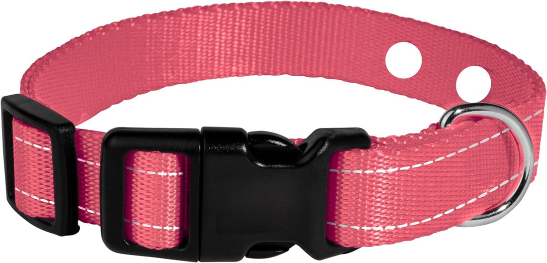 3/4" Orange Replacement Collar Strap