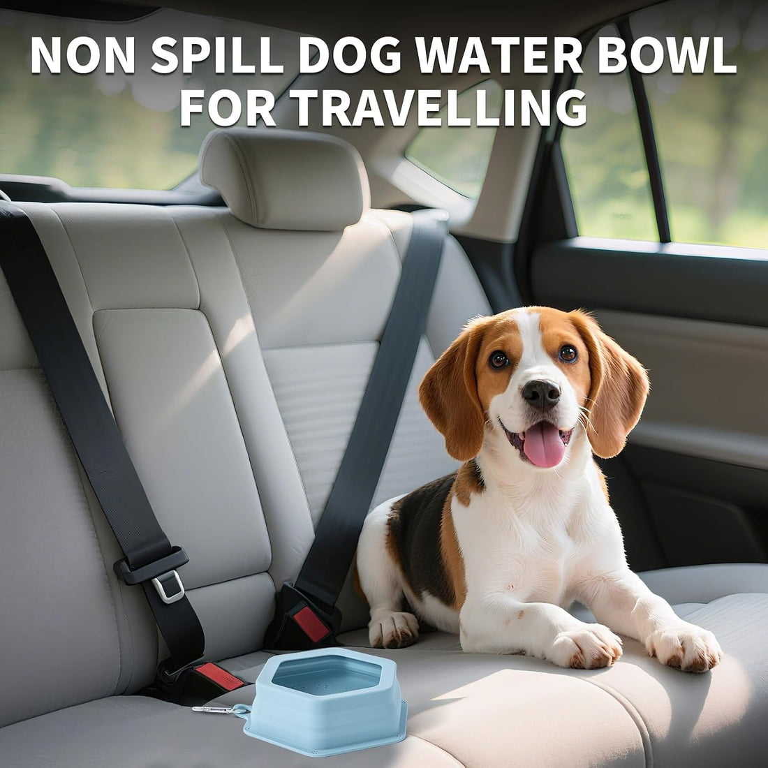 No Splash Dog Travel Bowls for Cars