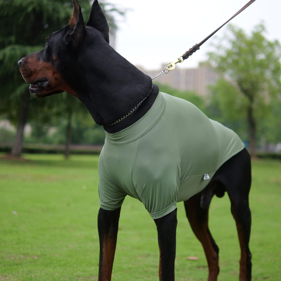 LoveLongLong Spring Summer Cooling Dog T-Shirt with UV Protection