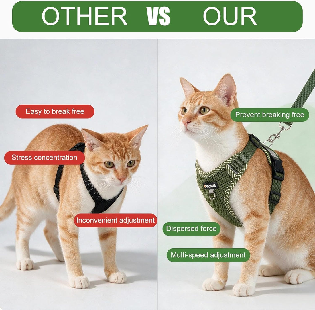 Large Cat Harness and Leash Set