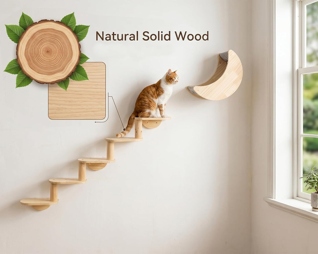 Cat Wall Shelves, Solid Wood Moon Bed