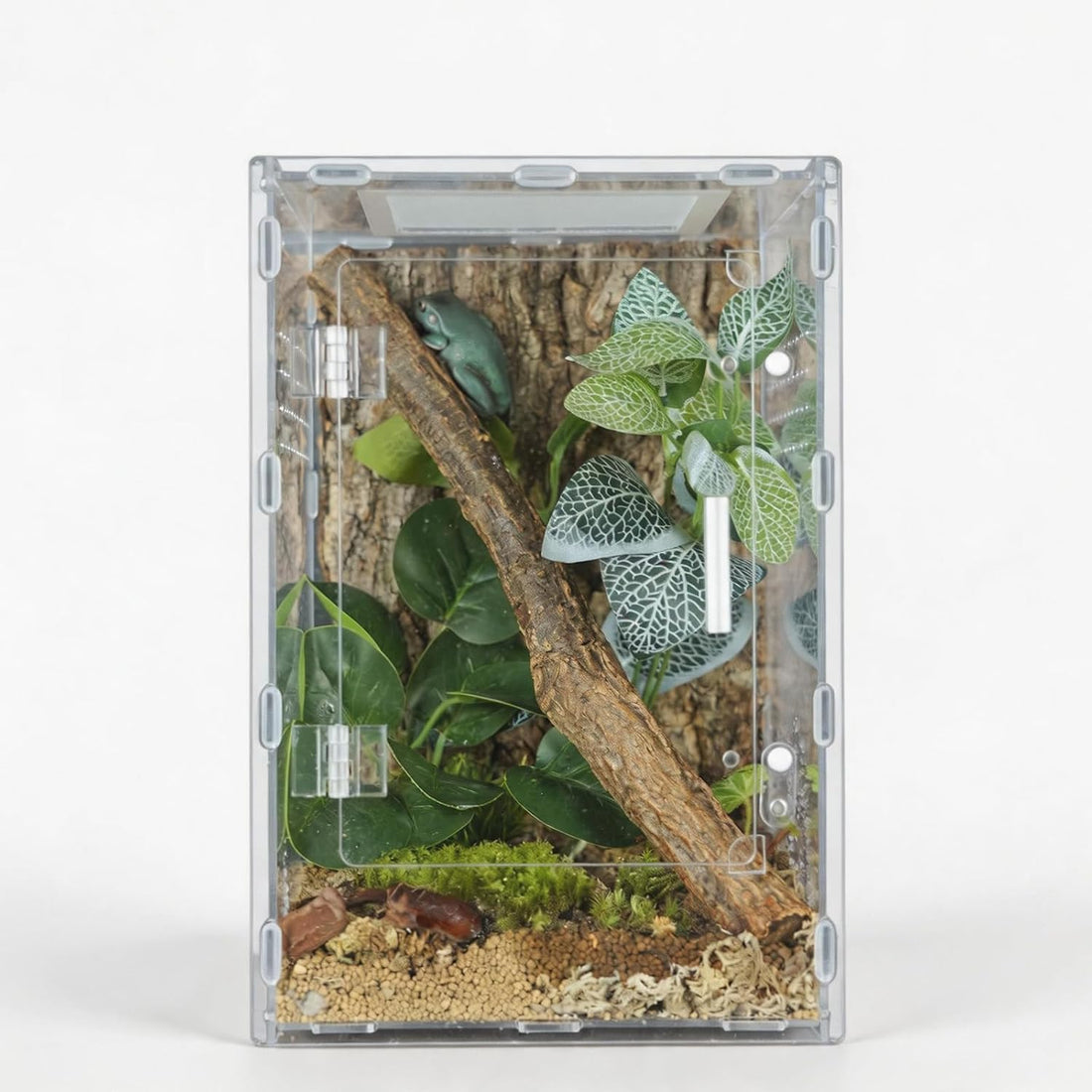 8x8x12 Acrylic Reptile Enclosure - Clear Terrarium Geckos Spiders