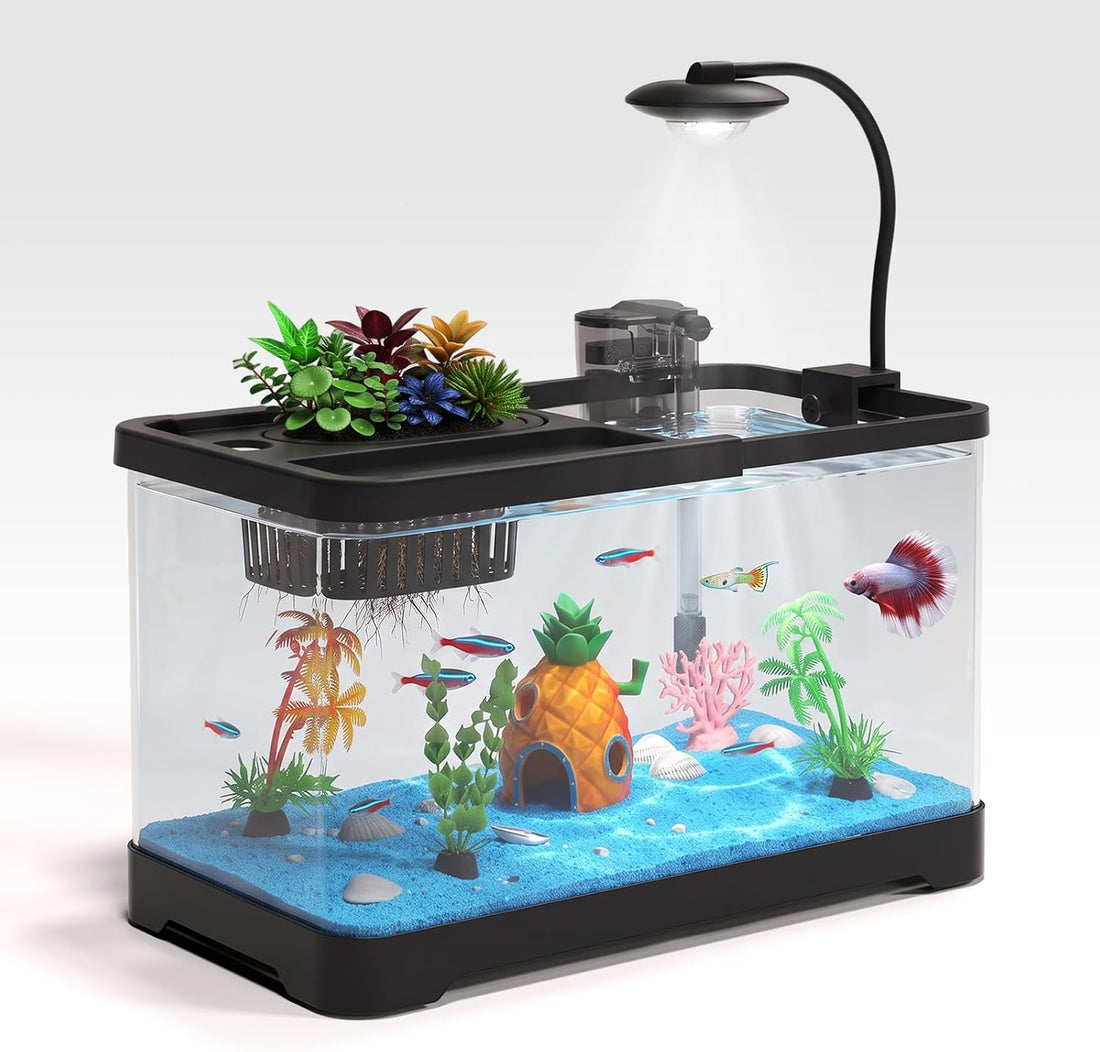 5 Gallon Fish Tank Aquarium Starter Kit with Filter and Light
