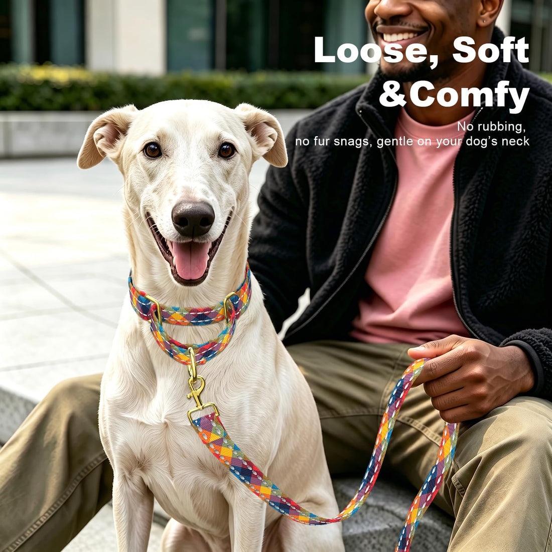 Martingale Dog Collar for Large Dogs