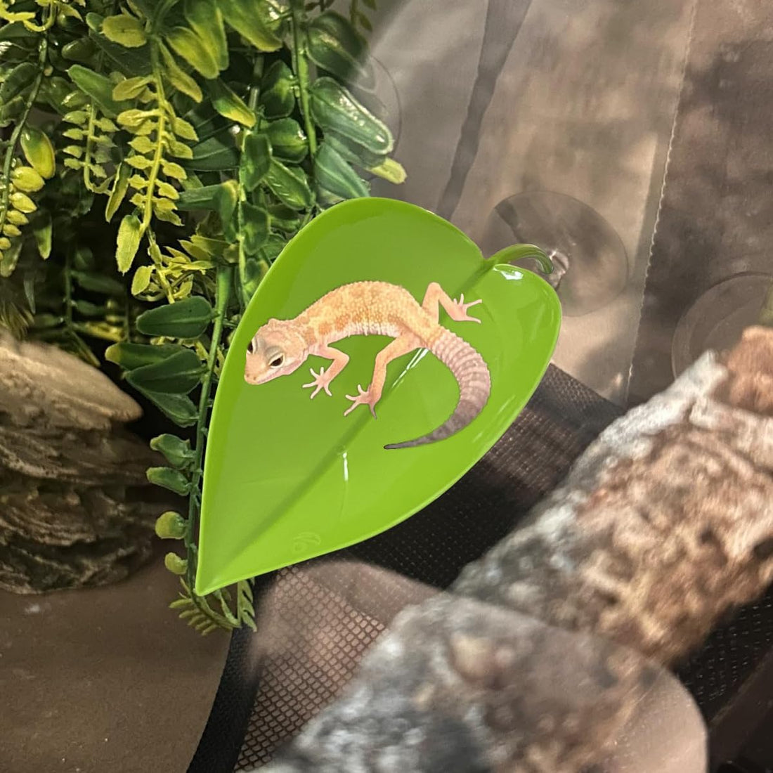 KVZVK 2Pcs Tree Frog Tank Leaf Decorations,Leaf Shape Basking