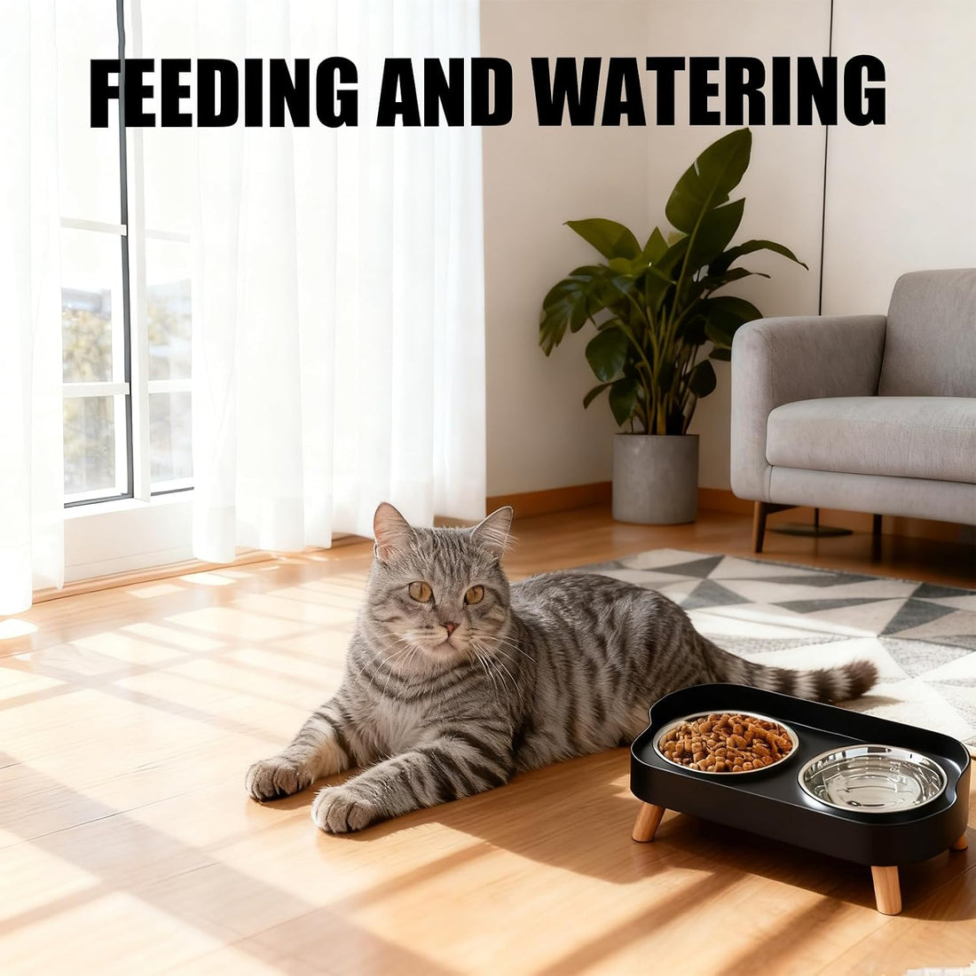 Elevated Cat Bowls, 2 Stainless Steel Raised Cat Food and Water Bowl