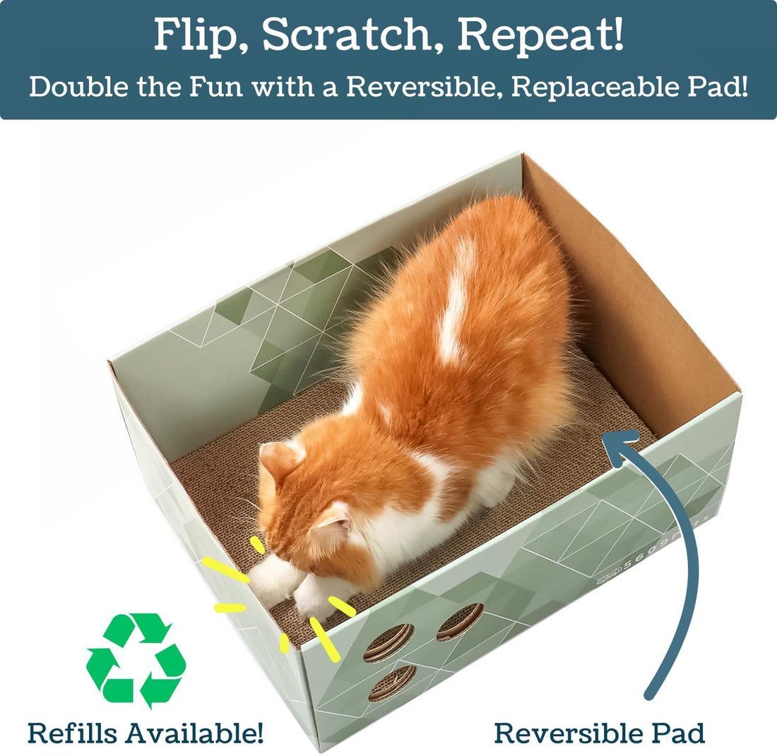 No-Mess Cardboard Cat Scratcher Box