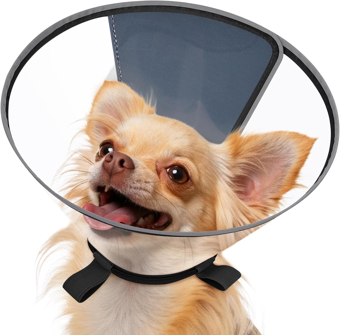 Clear Dog Cone for Small Dogs Chihuahua, E-Collar After Surgery