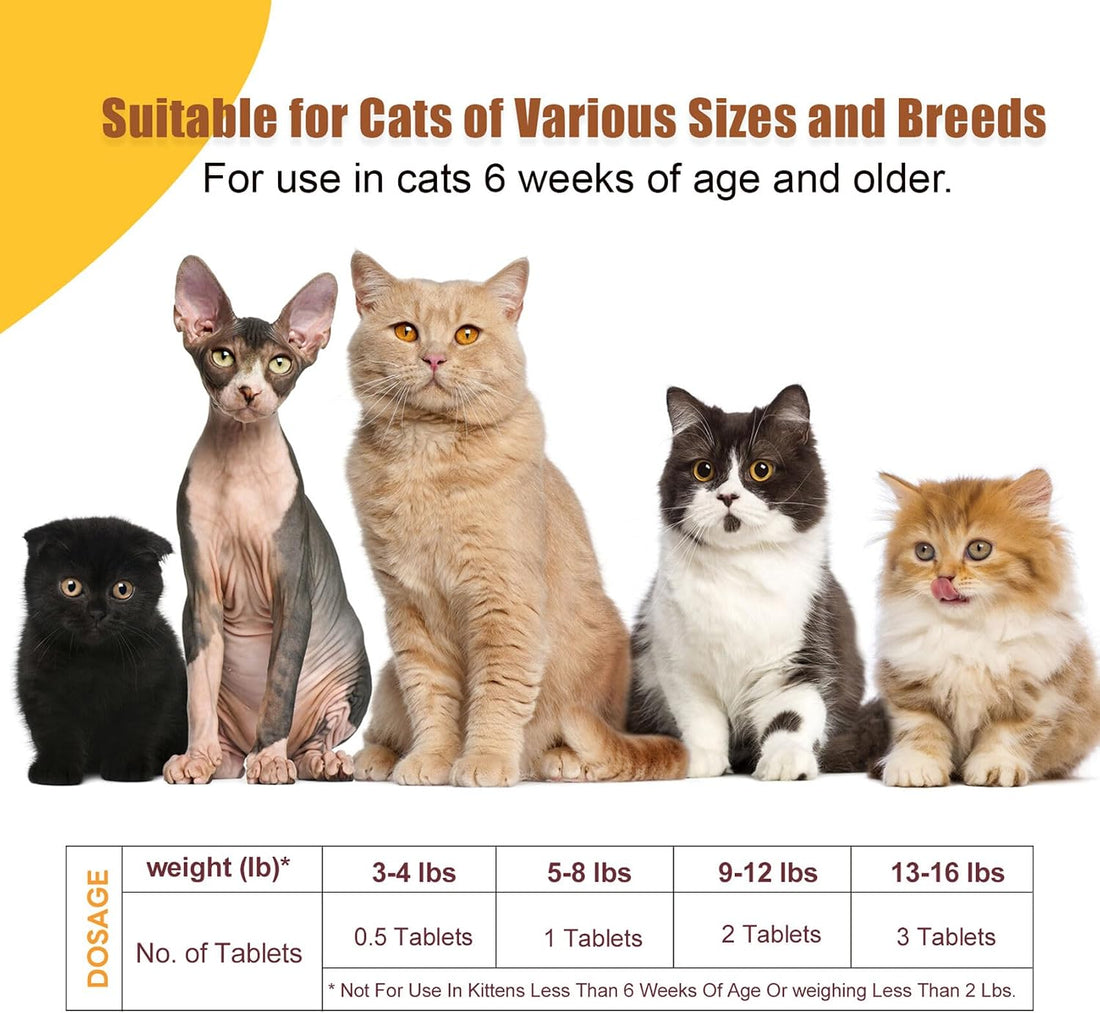 Dewormer for Cats & Kittens, Fenbendazole for Tapeworms