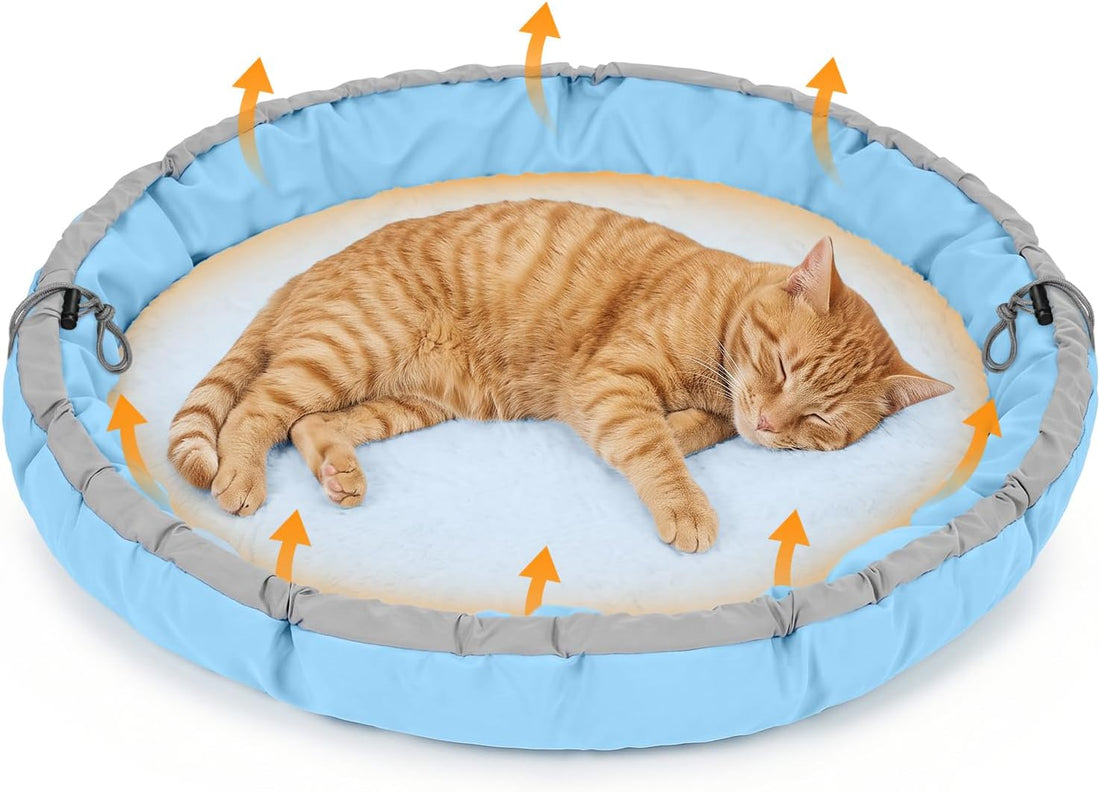 Cat Bed for Indoor Kitten Bed Washable