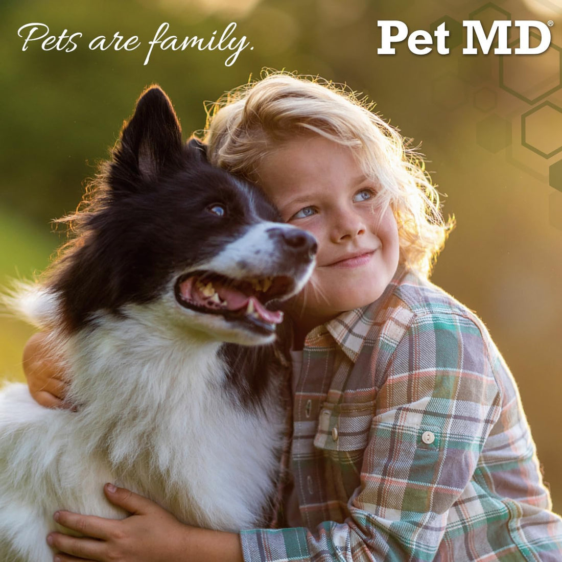 Pet MD Wrap-A-Pill with Dog Probiotics - Pill Wrap for Dogs Medicine