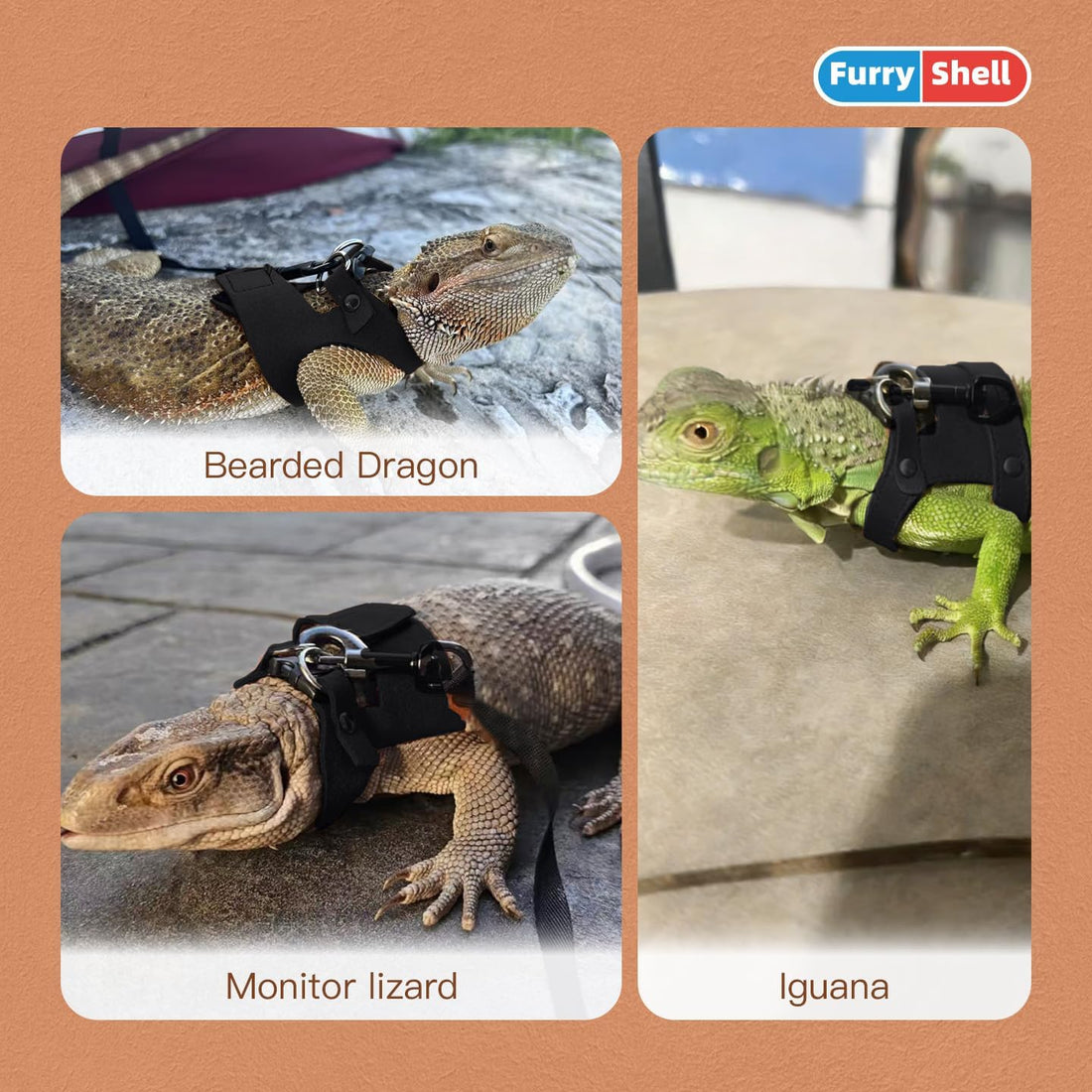 Bearded Dragon Harness & Leash Set, Escape-Proof, 3 Pack (S/M/L),Black