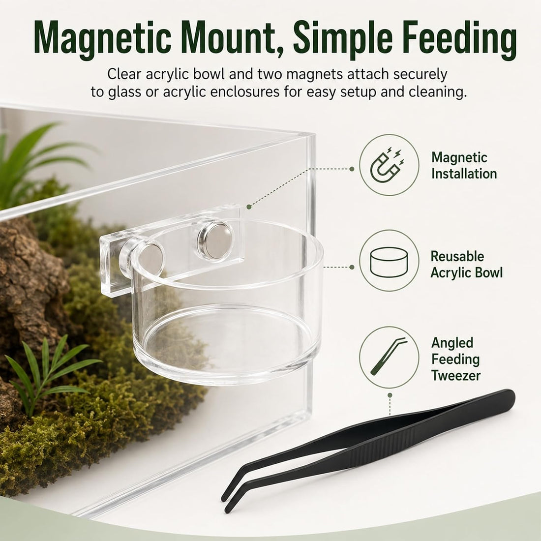 Jumping Spider Feeding Dish Set