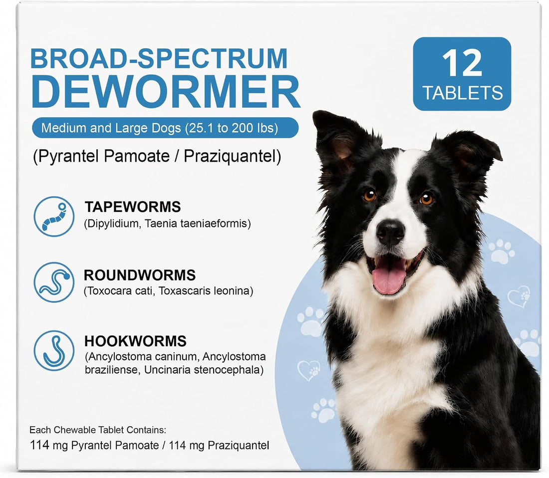 Dewormer for Dogs, Oral Treatment of Tapeworm