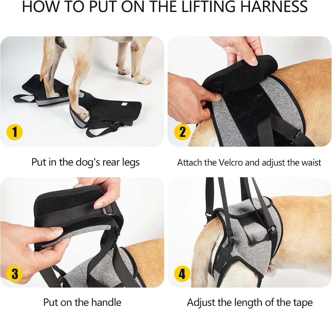 Dotoner Dog Sling for Large Dogs Hind Leg Support to Help
