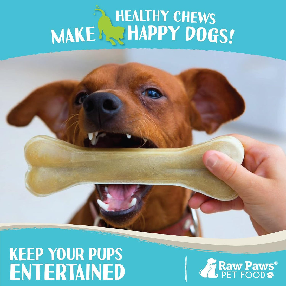 Raw Paws 8-Inch Compressed Rawhide Bones for Dogs, 10-Count