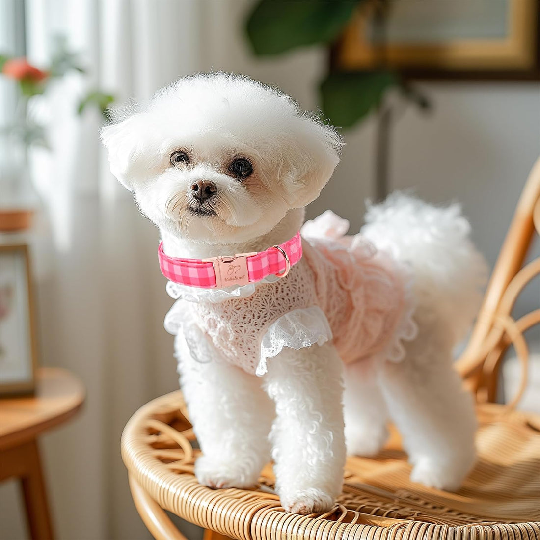 Pink Checkerboard Dog Collar, Classic Girly Plaid Dog Collars