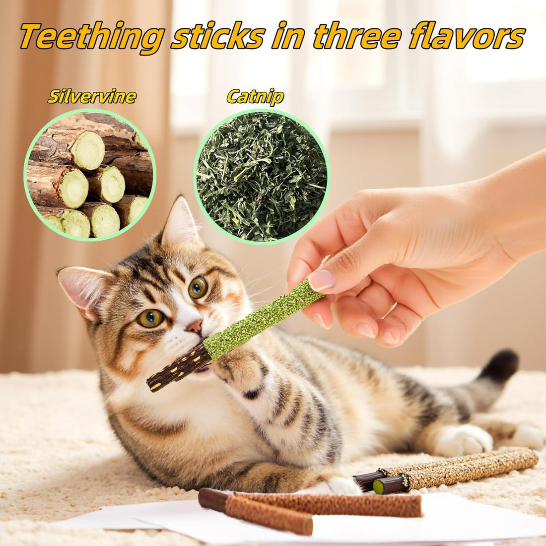 GREMBEB Cat Toys 12PCS Catnip Toy for Indoor Kitten Toys Cat Chew