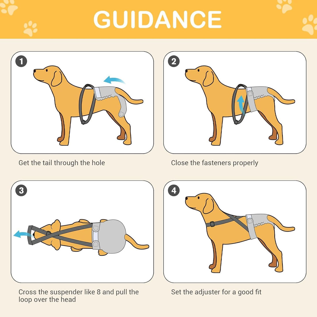 Avont 3 Pack Washable Female Dog Diaper with Suspender
