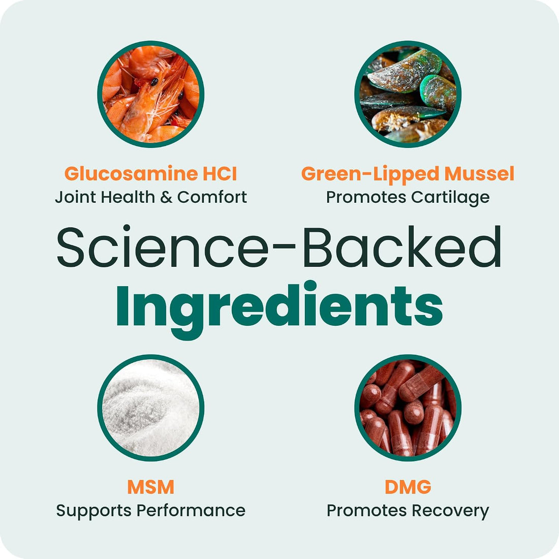 VetriScience Extra Strength Hip & Joint Supplement for Dogs