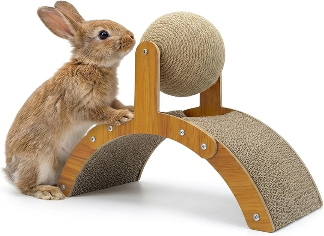 2-in-1 Rabbit Scratching Toy