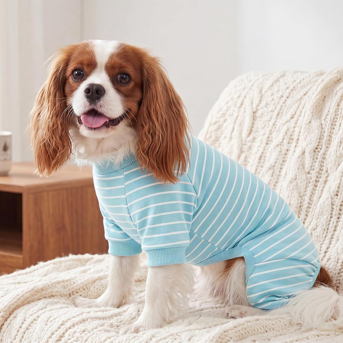 XPUDAC 4 Pack Dog Pajamas Striped Dog Clothes for Small Medium Dogs