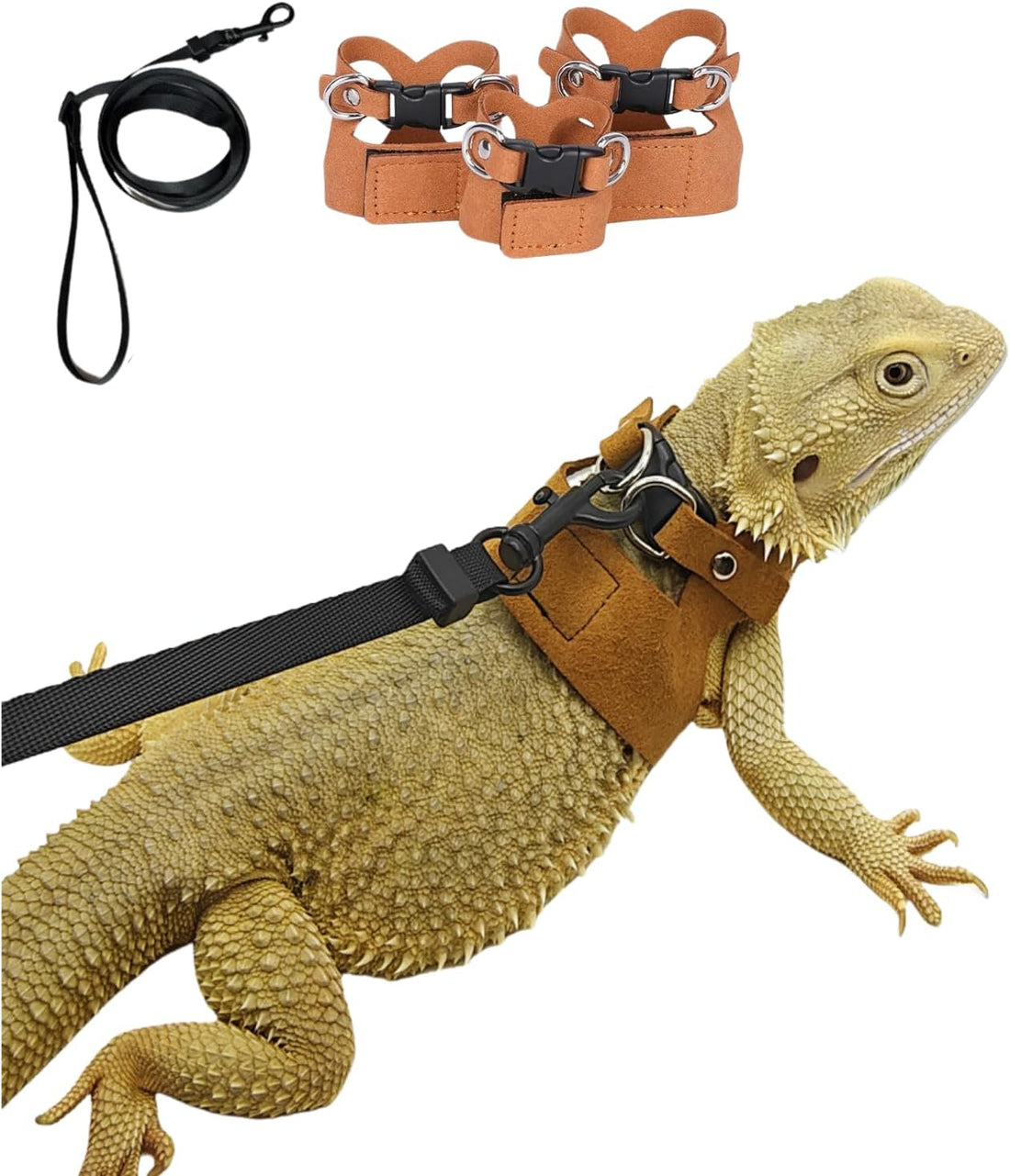 3 Pack Bearded Dragon Harness and Leash Set