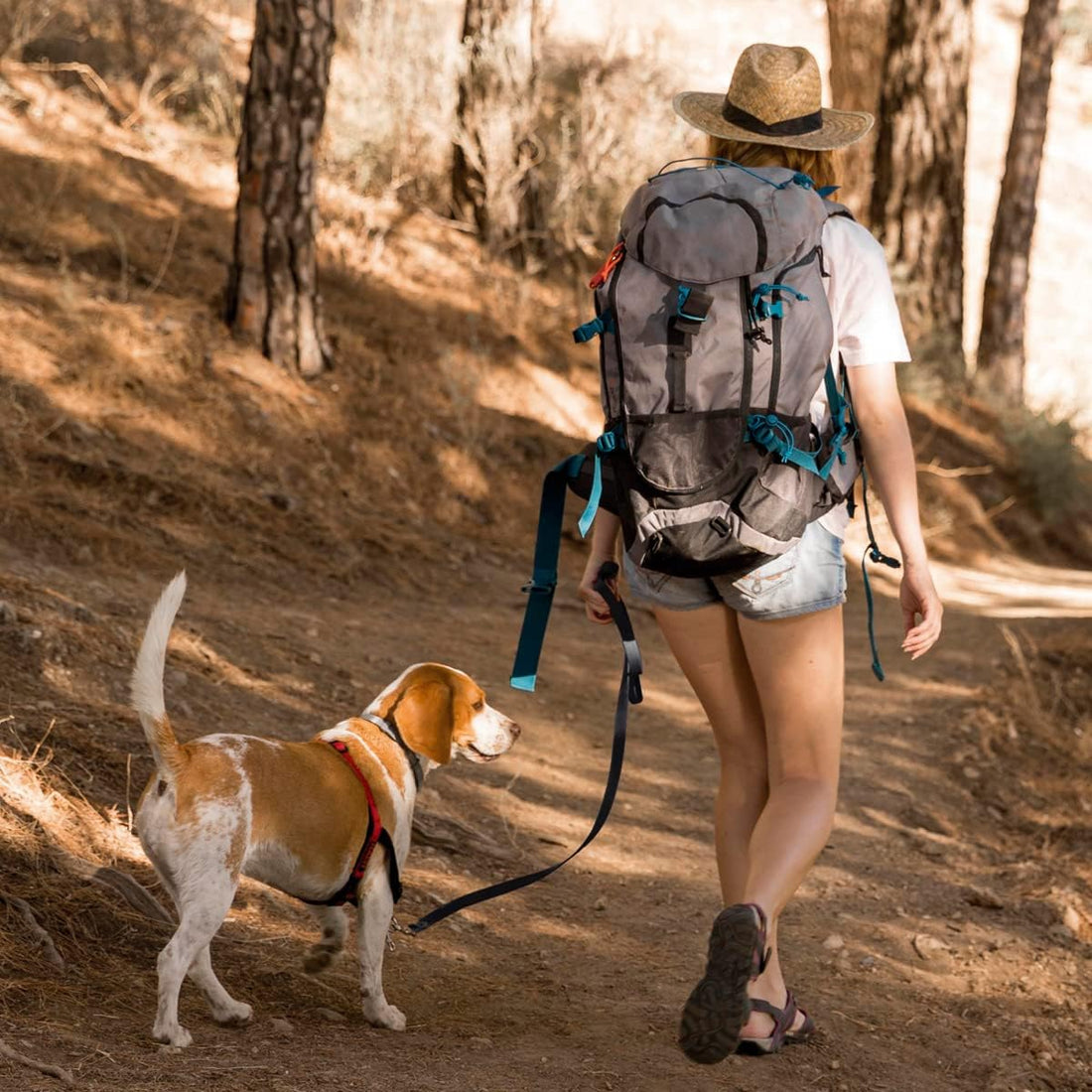 Viper Biothane K9 Working Dog Leash Waterproof Lead for Tracking