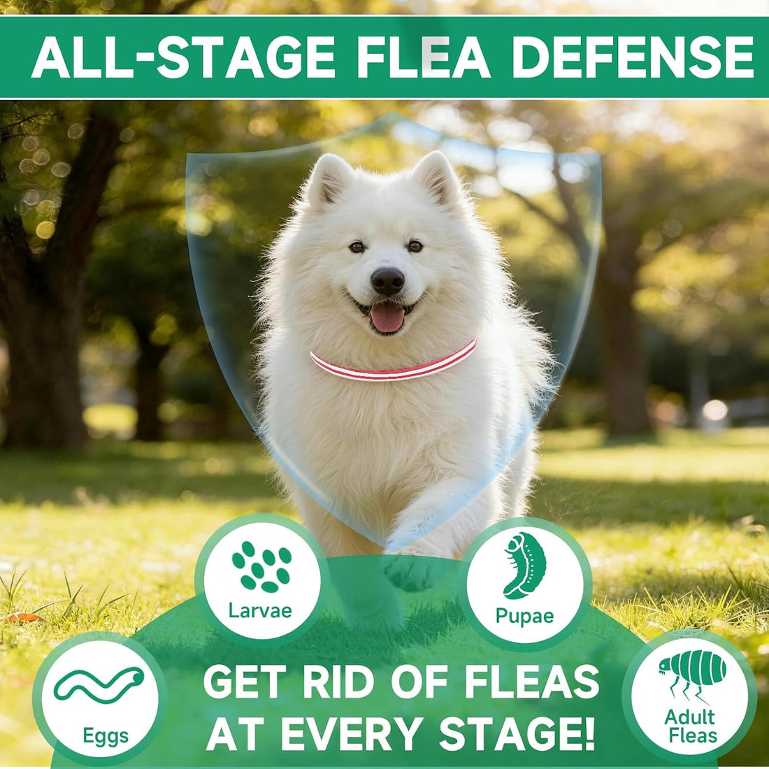 Flea and Tick Prevention for Dogs, 4 Flea Collars, 32 Months