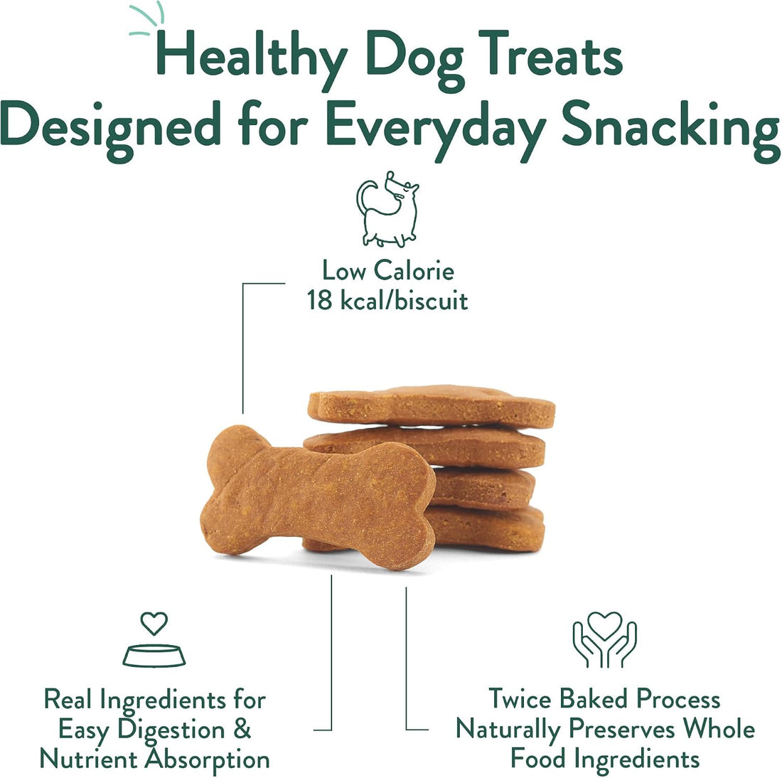 Portland Pet Food Company Pumpkin Dog Treats Healthy Biscuits
