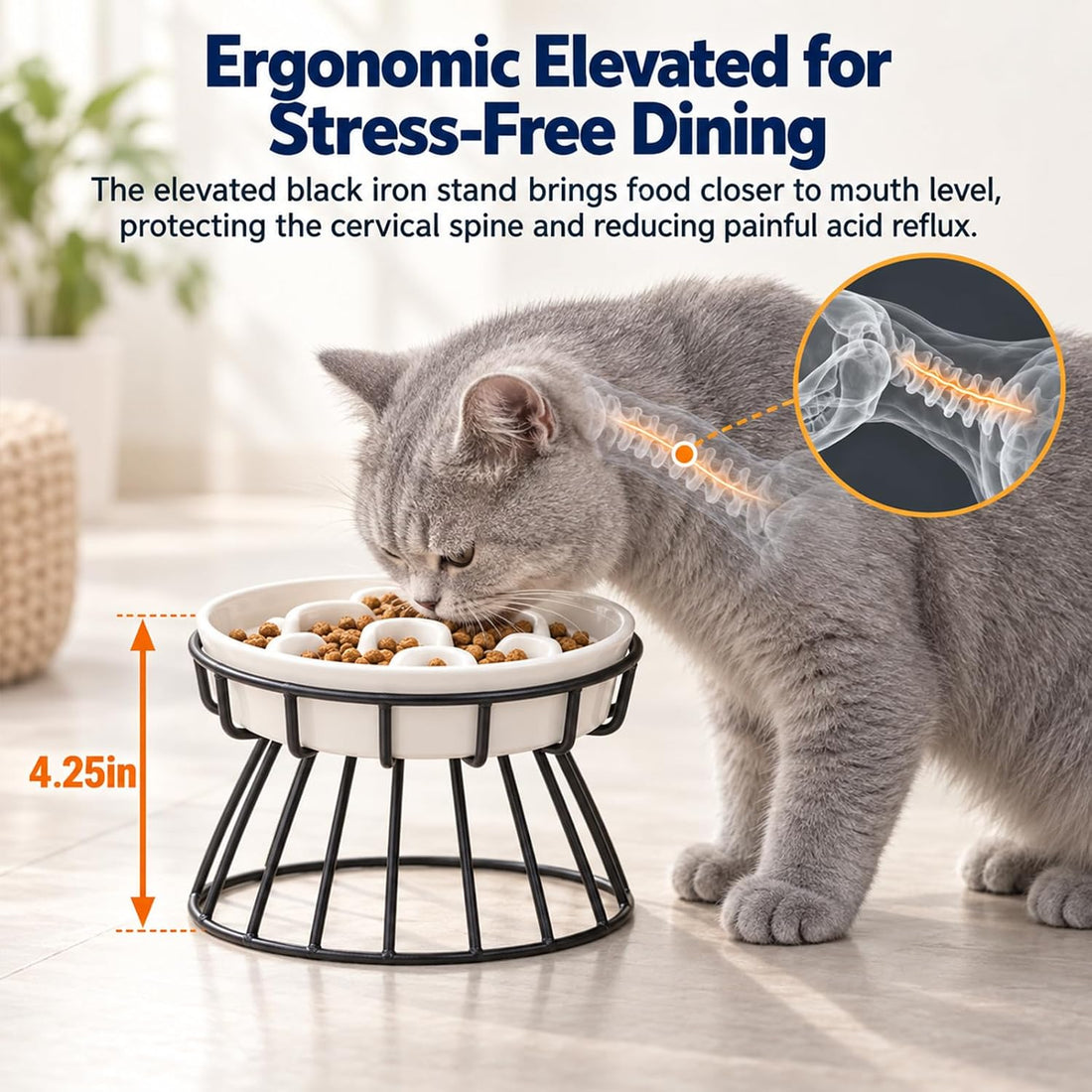 Raised Slow Feeder Cat Bowl - Ceramic Cat Slow Feeders with Stand