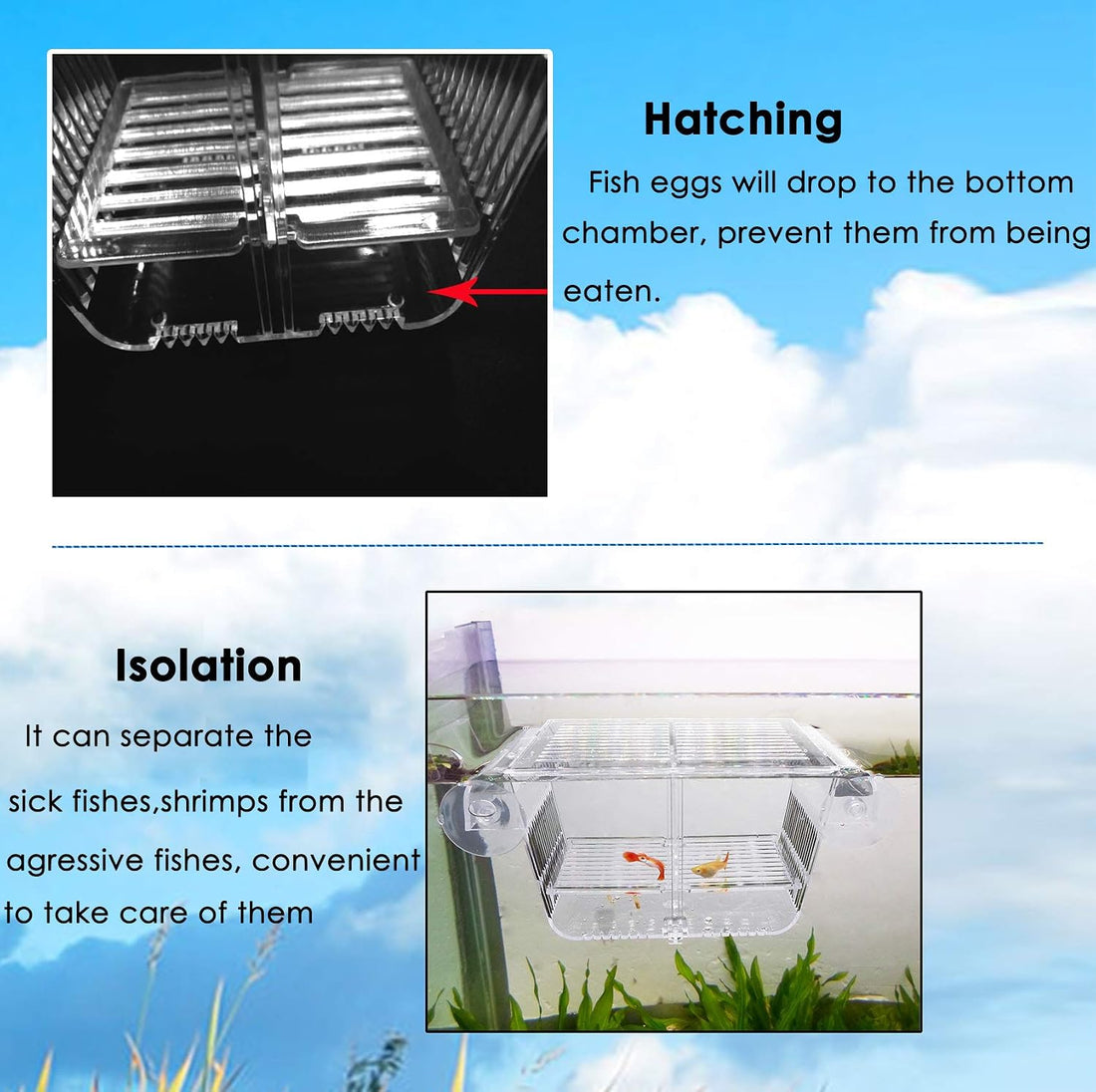 capetsma Fish Breeding Box, Acrylic Fish Isolation Box with Suction