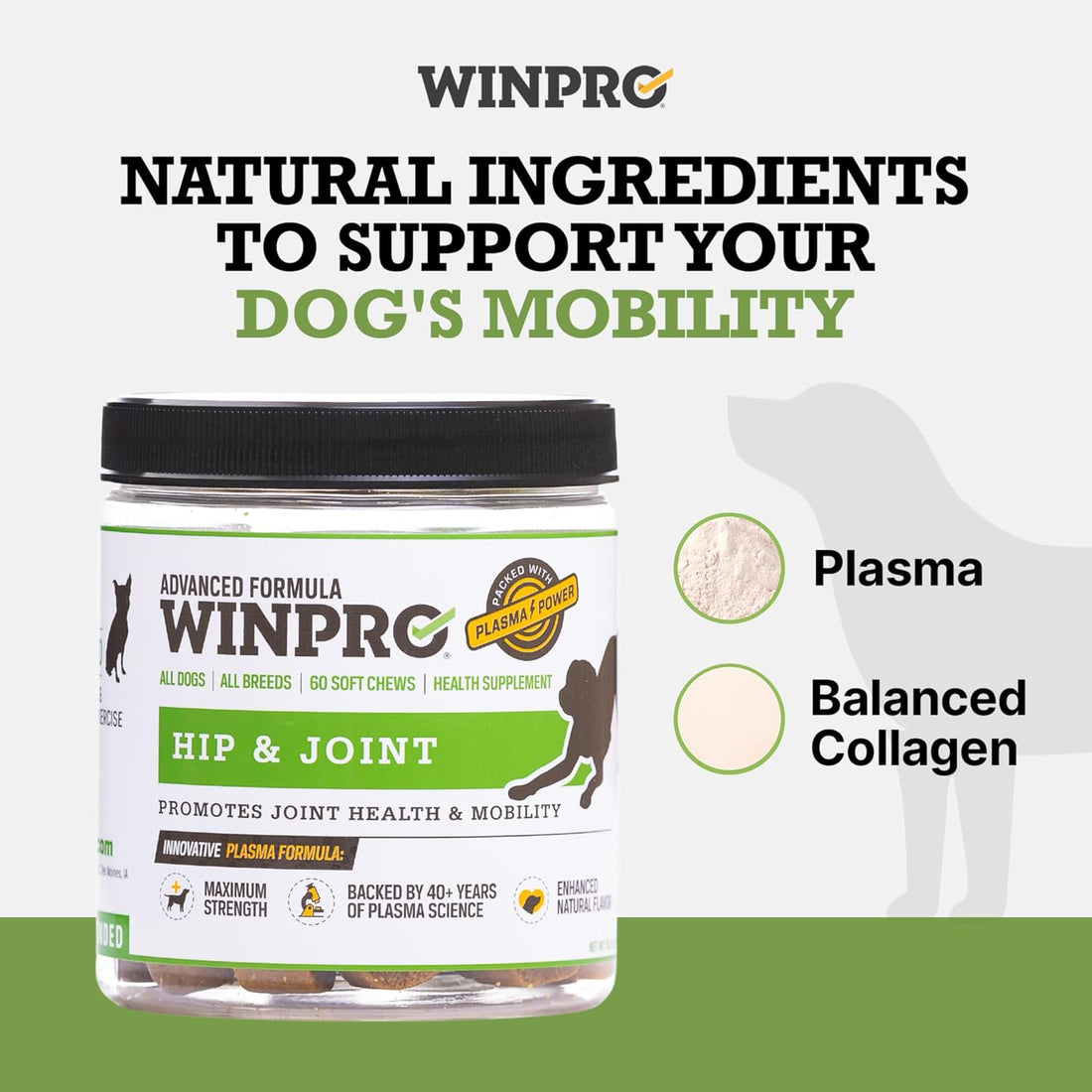 WINPRO Hip & Joint Supplement for Dogs